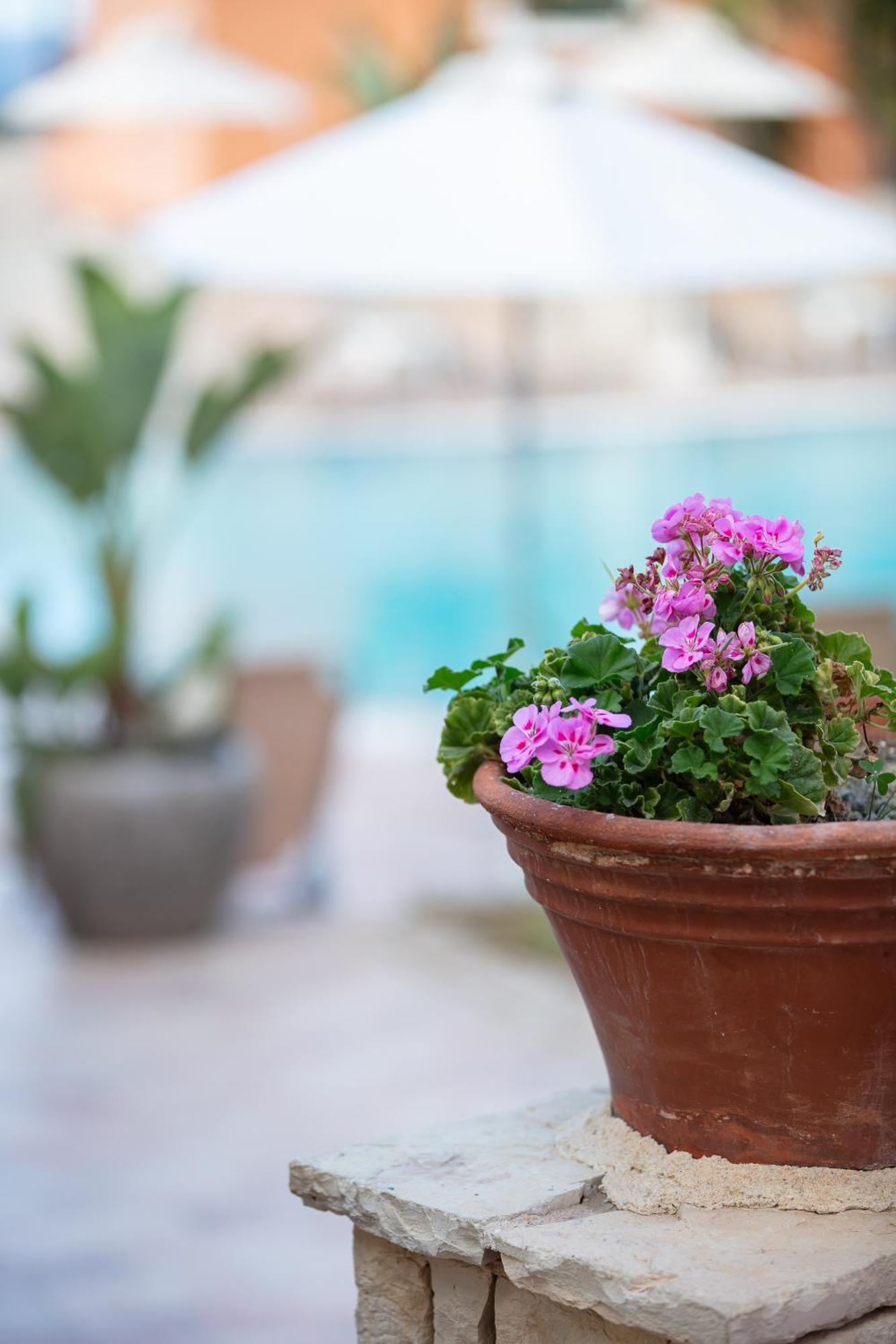 خيرسونِسوس Dia Apartments المظهر الخارجي الصورة